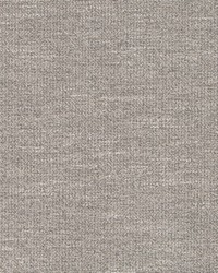 Boucle Glam Cement by  Robert Allen 