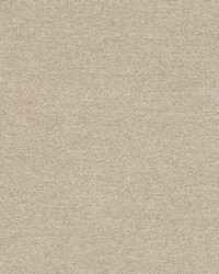 Boucle Glam Linen by  Robert Allen 