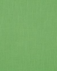 Linen Slub Grass by  Robert Allen 