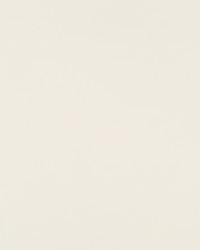 Maxon Bk Cream by  Robert Allen 