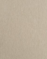Maxon Bk Linen by  Robert Allen 