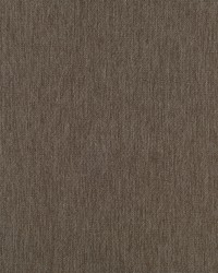 Maxon Bk Truffle by  Robert Allen 