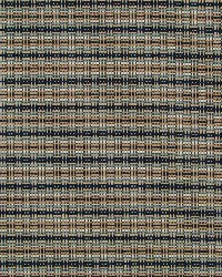 Zanga RR BK Amber by  Robert Allen 