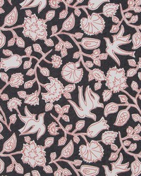 Giaconda Persimmon by   