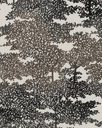 Pierowood Graphite by   