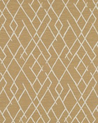 Broken Trellis Brass by  Collier Campbell 