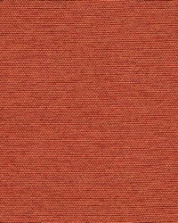 Aerial Row Persimmon by  Collier Campbell 