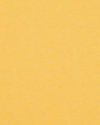 Step Back Lemon by  Collier Campbell 