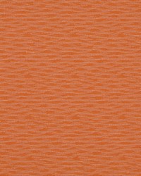 Step Back Persimmon by  Collier Campbell 