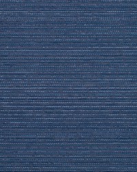 Doodle Dance Cobalt by  Collier Campbell 