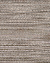 Doodle Dance Taupe by  Collier Campbell 