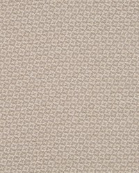 Rekindle Taupe by  Collier Campbell 