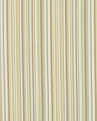 Tailored Edge Citron by  Collier Campbell 