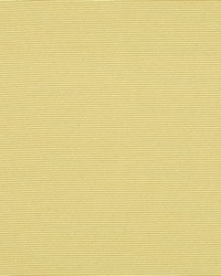 Perimeter Citron by  Collier Campbell 