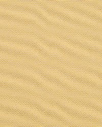 Perimeter Lemon by  Collier Campbell 