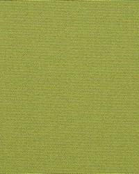 Perimeter Lime by  Collier Campbell 