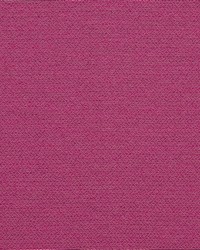 Perimeter Orchid by  Collier Campbell 