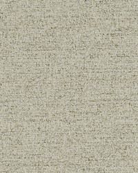 Olecko Oyster by  Robert Allen 