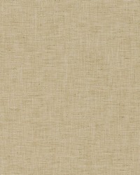 Tinson Weave Lettuce by  Robert Allen 