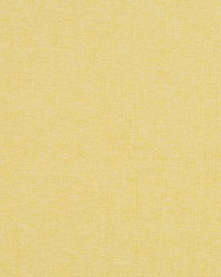 Boho Tex Bk Citrine by  Robert Allen 