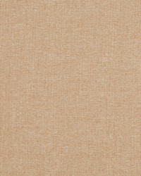 Boho Tex Bk Dune by  Robert Allen 