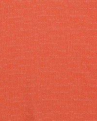 Pixel Plush Persimmon by  Collier Campbell 