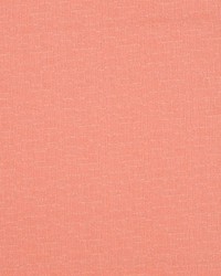 Pixel Plush Salmon by  Collier Campbell 