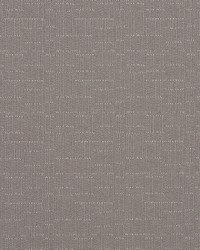 Pixel Plush Taupe by  Collier Campbell 