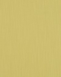 Twist Weave Bk Lemongrass by  Robert Allen 