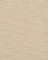 Arbor Weave Bk Cream by  Robert Allen 