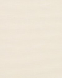 Arbor Weave Bk Ivory by  Robert Allen 