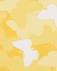 Now Voyager Daffodil by   
