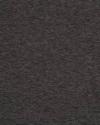 SOLID AVENUE CHARCOAL by  Robert Allen 