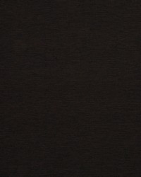 SOLID AVENUE CHOCOLATE by  Robert Allen 