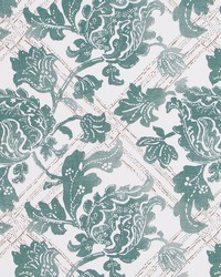 Floral Lattice Aloe by  Robert Allen 