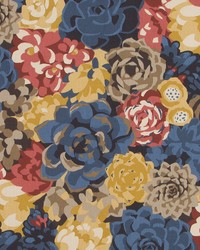 Succulents Terrain by  Robert Allen 