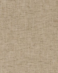 Tinson Weave Birch by  Robert Allen 