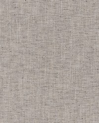 Tinson Weave Greystone by  Robert Allen 