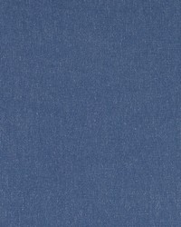 Gunnysack Cobalt by  Robert Allen 