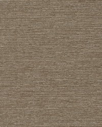 Serene Slub Truffle by  Robert Allen 