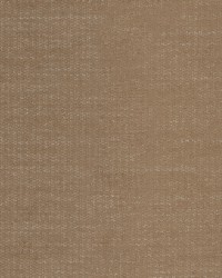 Chenille Luxe Chestnut by  Robert Allen 