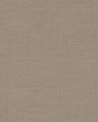 Chenille Luxe Driftwood by  Robert Allen 