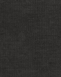 Chenille Luxe Graphite by  Robert Allen 