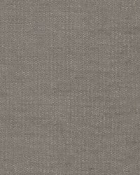 Chenille Luxe Mica by  Robert Allen 