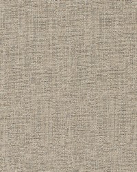 Easy Chenille Mineral by  Robert Allen 