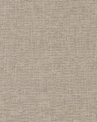 Easy Chenille Natural by  Robert Allen 