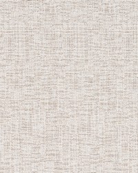 Easy Chenille Pale Cream by  Robert Allen 