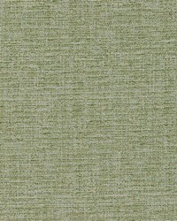 Easy Chenille Spring Grass by  Robert Allen 