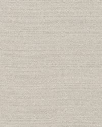 Plush Plain Zinc by  Robert Allen 