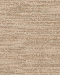 Plush Plain Tea by  Robert Allen 